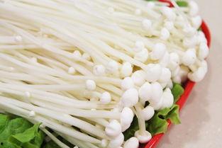 金针菇今日爆料最新,揭秘娱乐圈惊人内幕！  第2张